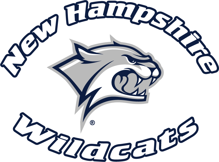 New Hampshire Wildcats 2000-2019 Wordmark Logo iron on transfers for clothing